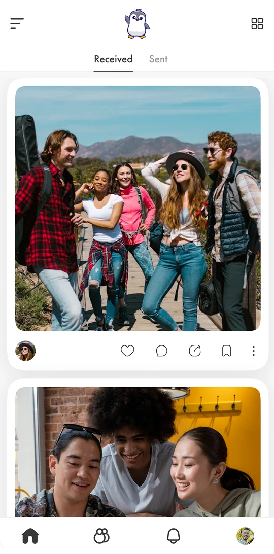 PicSee screen
